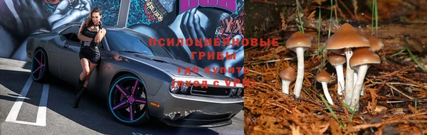 мет Абинск