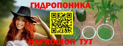 шишки Коммунар