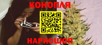 шишки Коммунар