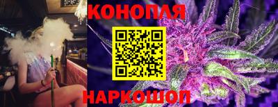 шишки Коммунар
