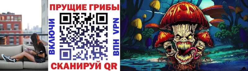 Галлюциногенные грибы Magic Shrooms  darknet клад  Усолье-Сибирское 