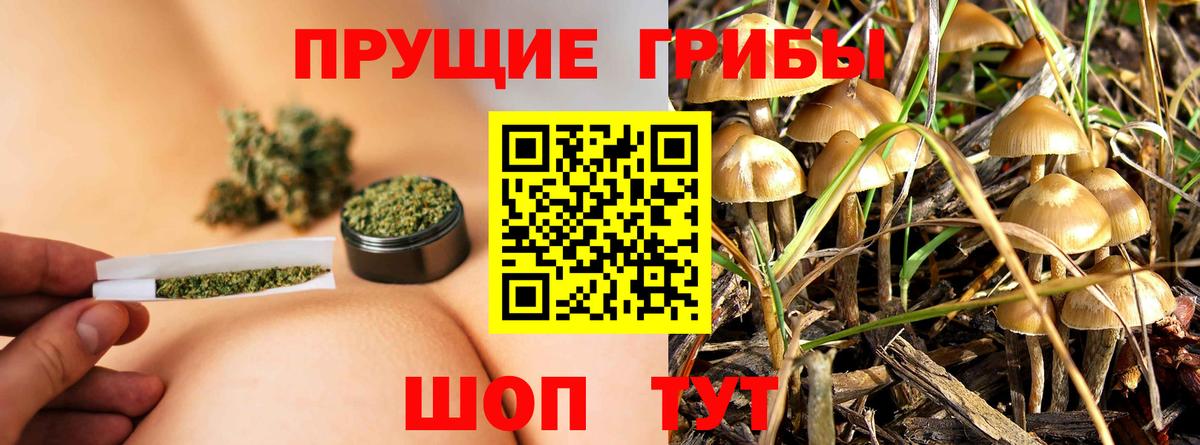 Галлюциногенные грибы MAGIC MUSHROOMS Усолье-Сибирское